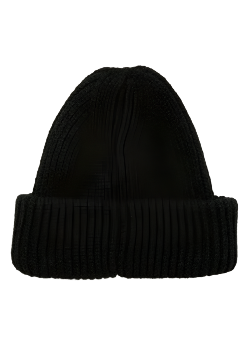 Chet Rock Beanie